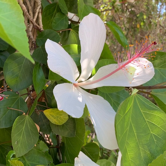 Meet your Posher, Josh - Picture 5 of 8